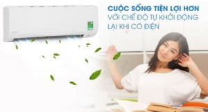 may-lanh-daikin-inverter-1-0-hp-ftkz25vvmv.jpg